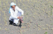 Centre allocates Rs 795 crore drought assistance to Karnataka